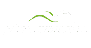 pferdewetten